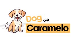 logo do blog Dog Caramelo.