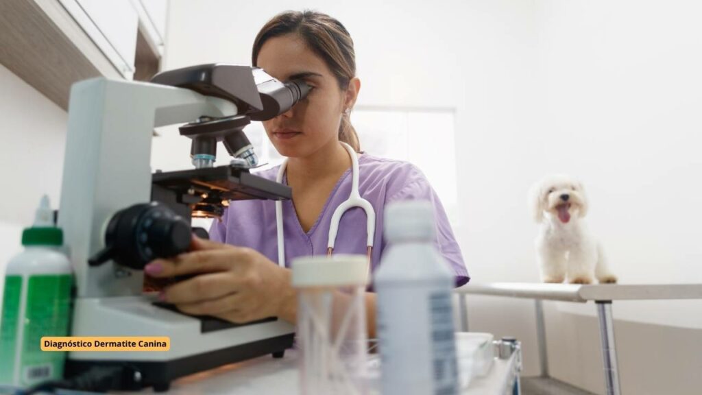 
Veterinária examinando células no microscópio para diagnosticar dermatite canina.